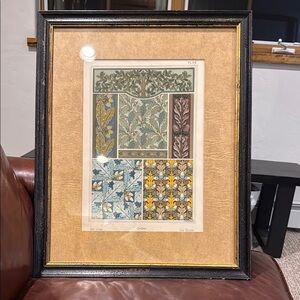 Framed Botanical Art